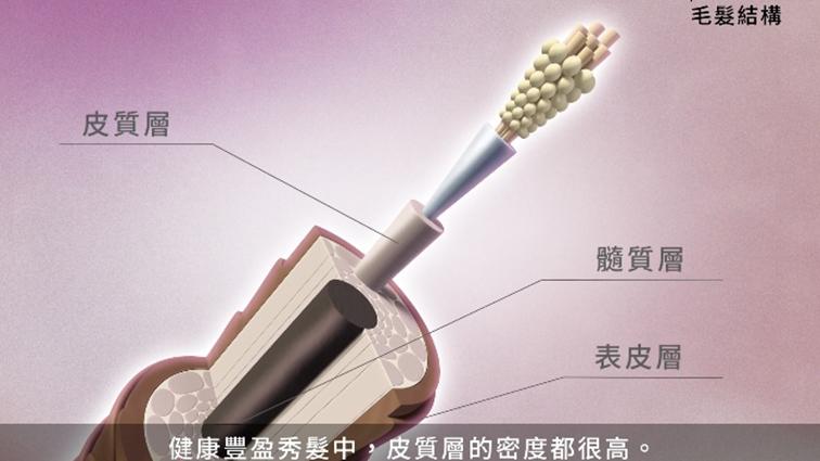 八重科技再升級，鎖芯護色長效修護